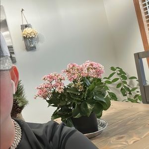 Meet your Posher, Jace